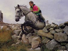 Ireland-Connemara/Galway-Cross Country Winter Escape